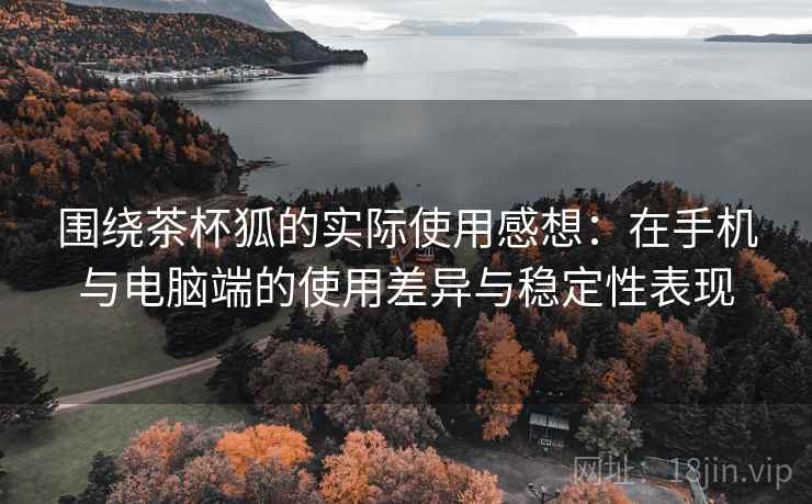 围绕茶杯狐的实际使用感想：在手机与电脑端的使用差异与稳定性表现  第2张