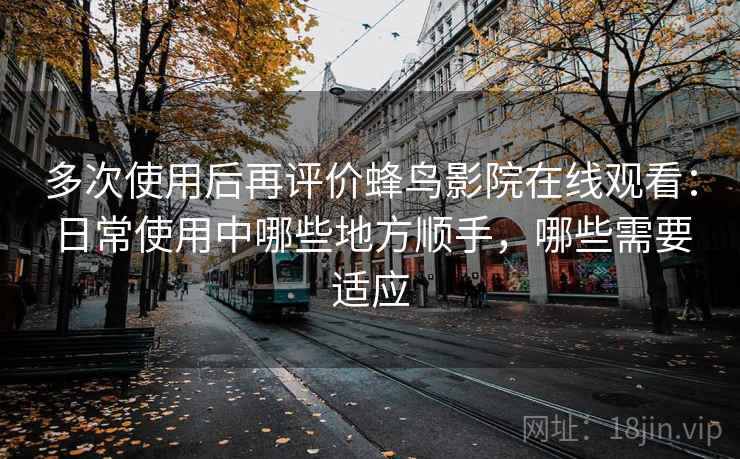 多次使用后再评价蜂鸟影院在线观看：日常使用中哪些地方顺手，哪些需要适应  第1张